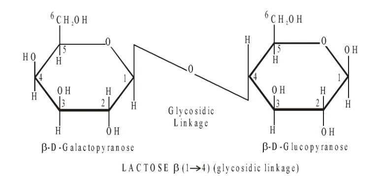 Sugar Part in Carbohydrates